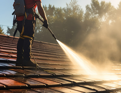 Roof debris